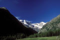 <center>En direction de la vallée de Valnontey. prairie,montagne,ciel bleu 